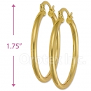 102007 Gold Layered Hoop Earrings