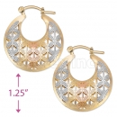 108017 Gold Layered Tri-color Hoop Earrings
