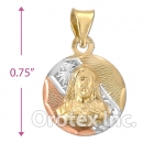 CH26-21 Gold Layered Tri-Color Charm