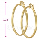 102001 Gold Layered Hoop Earrings