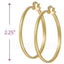102001 Gold Layered Hoop Earrings