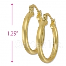 102006 Gold Layered Hoop Earrings