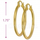 102007 Gold Layered Hoop Earrings