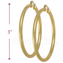 102009 Gold Layered Hoop Earrings