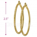 103100 Gold Layered Hoop Earrings