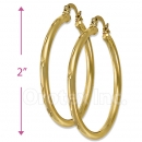 103303 Gold Layered Hoop Earrings