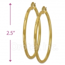 103304 Gold Layered Hoop Earrings