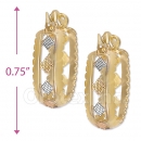 110041 Gold Layered Tri-color Hoop Earrings
