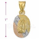 CH33-7  Gold Layered Tri-color Guadalupe Charm