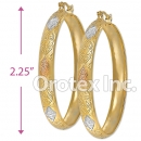 EH043 Gold Layered Tri-color Hoop Earrings